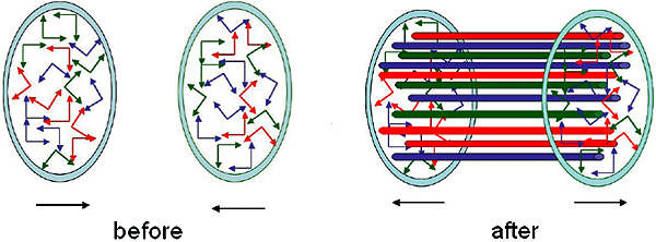 Рис. 4. Схематичное изображение двух ультрарелятивистских ядер до и после столкновения. В первый момент после столкновения образуется «глазма», и между двумя пролетевшими ядрами натягиваются струны глюонного поля. Разрываясь, они порождают частицы, которые уже скоррелированы по азимутальному углу. Изображение из лекции Л. Маклеррана на Байкальской летней школе-2010 (с сайта astronu.jinr.ru/school)