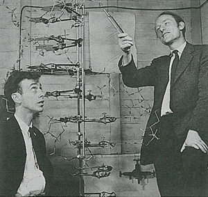 Фрэнсис Харри Комптон КРИК и Джеймс Дьюи УОТСОН