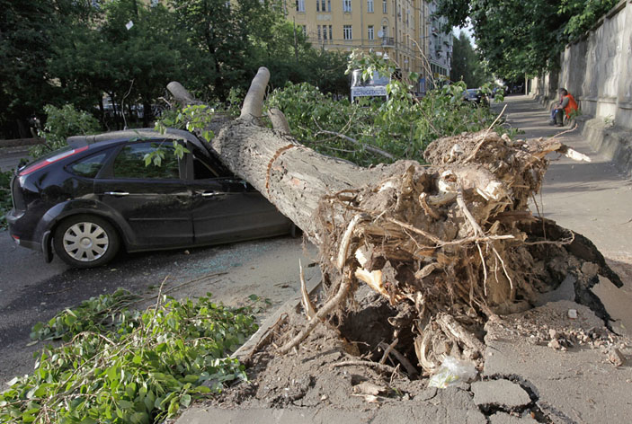 Дерево, поваленное во время урагана в Москве летом 2017 года. Фото: lastday.club