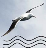 XXVII Симпозиум «Современная химическая физика»