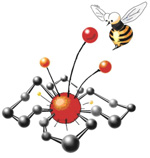 IV Всероссийская конференция по органической химии<br> XVIII Молодежная школа-конференция по органической химии
