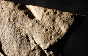 Следовая дорожка древнейшего пешехода, ходившего по мягкому илу 570 млн. лет назад.