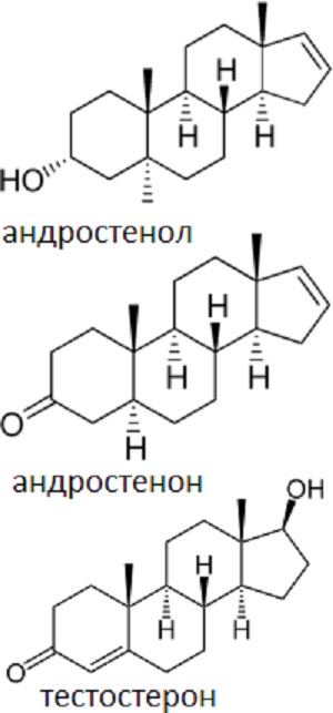 Рис. 1. Рассмотренные в статье феромоны человека и тестостерон