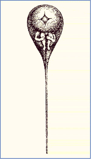 Преформисты XVII-XVIII веков считали, что в половых клетках (например, в сперматозоидах) имеются крошечные готовые копии взрослых организмов.