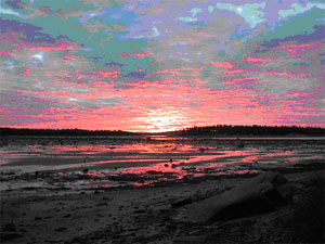 Белое море. Литораль