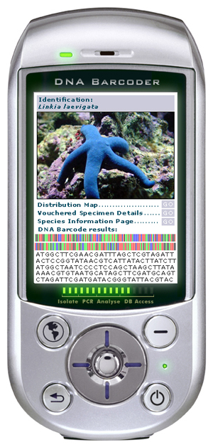 Мечта участников проекта «Штрихкод жизни» - миниатюрный ДНК-штрихкодер. Существует пока только в воображении.