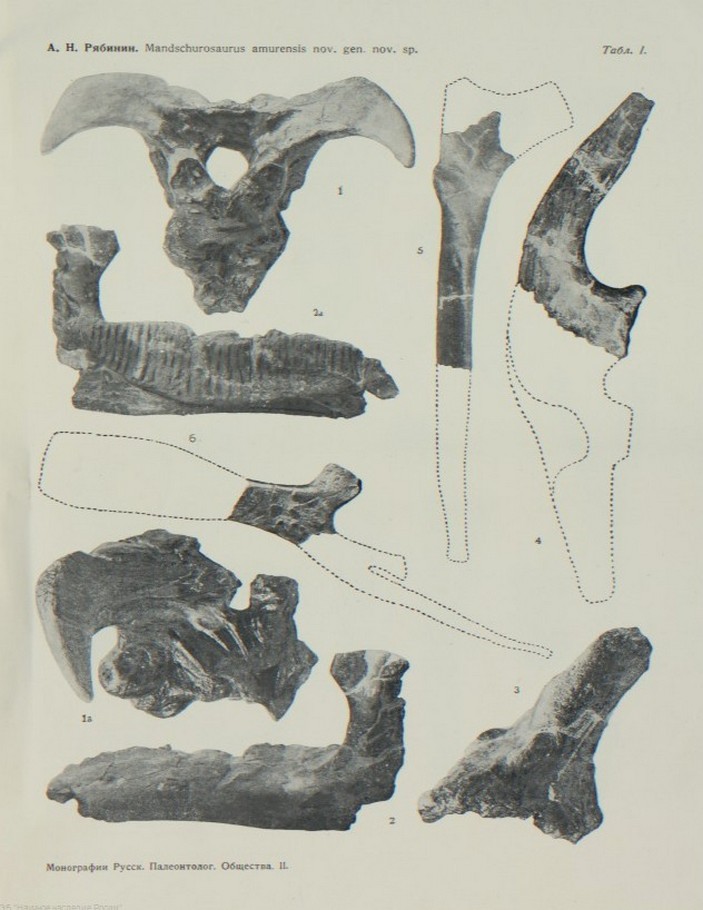 Mandschurosaurus amurensis