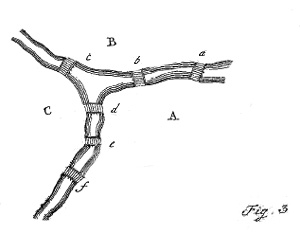 Рис.1. Общая схема решения задачи (изображение с сайта www.mathsisgoodforyou.com)