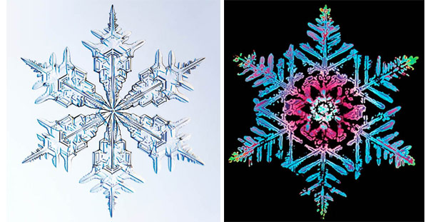 Цветное изображение, обработанное компьютером, демонстрирует, как менялись температурные условия на пути снежинки с неба на землю и каким образом это влияло на характер ее роста. Температура убывает от красного цвета к зеленому. Изображение: «Популярная механика»