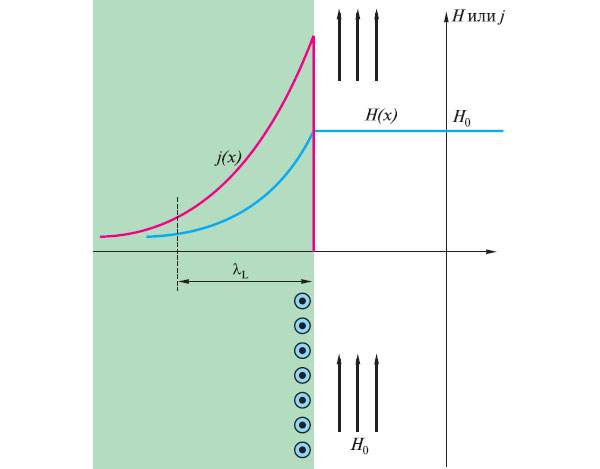 Рис. 16. Граница раздела сверхпроводника (слева, зеленым цветом) и магнитного поля (справа, стрелками обозначены силовые линии магнитного поля). Кружки с точками внутри обозначают текущий по поверхности сверхпроводящий ток, направленный на нас. Поле спадает плавно (по экспоненте), глубиной его проникновения условно считается расстояние, на котором напряженность падает в e раз (где е ≈ 2,72 – основание натурального логарифма). Красная линия – зависимость плотности тока от расстояния поперек плоской границы сверхпроводника