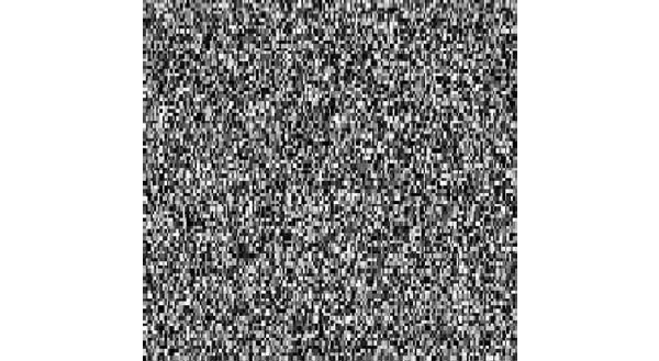 Рис. 5.3. Высокоинформативный набор случайных точек. Это изображение несет максимум информации, так как нельзя предсказать, какой цвет имеет та или иная точка.