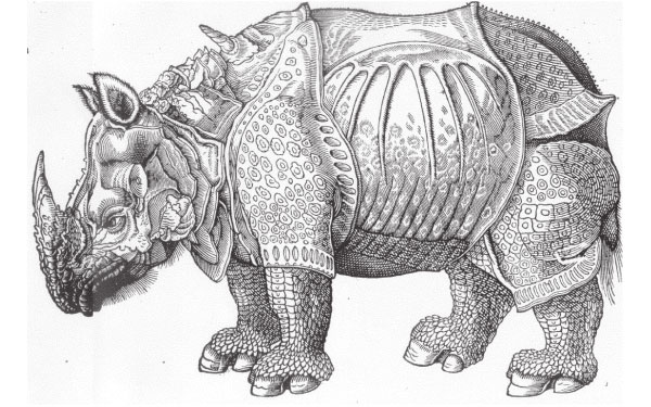 Рис. 5.6. Есть ли в комнате носорог? Этот рисунок носорога работы Конрада Геснера, опубликованный в 1551 году, скопирован с другого рисунка, работы Альбрехта Дюрера. Сам Дюрер никогда не видел носорогов, а его рисунок был выполнен по чужому эскизу и описанию, прочитанному Дюрером в письме.\nИсточник: Gesner, C. (1551). Historia animalium libri I–IV. Cum iconibus. Lib. I.\nDe quadrupedibus uiuiparis. Zurich: C. Froschauer.\n
