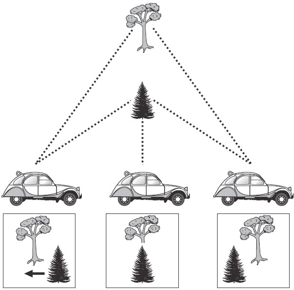 Рис. 5.9. Мы можем понять, где что находится, посредством движения Когда мы движемся мимо двух деревьев, елка, расположенная ближе, сдвигается в нашем поле зрения быстрее, чем лиственное дерево, расположенное дальше. Это явление называют параллаксом движения. Оно помогает нам понять, что елка расположена ближе к нам, чем лиственное дерево.