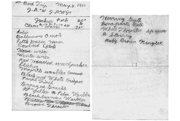 Я рано научился у отца аккуратно вести записи наблюдений за птицами