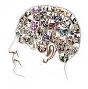 Как работает мозг