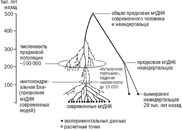 Люди и их гены 2