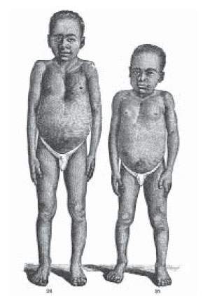 <p>Тибо-Франческо и Шер-Алла-Луиджи, Верона, ок. 1874 г.</p>