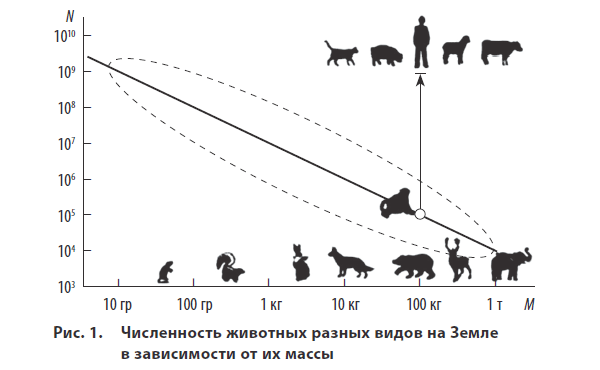 Парадоксы роста