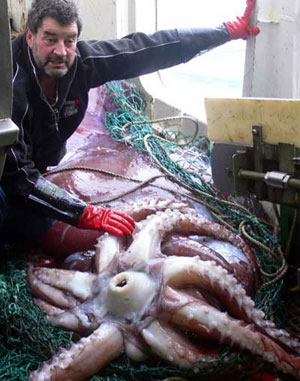 Джон Беннет и колоссальный кальмар на палубе рыболовного судна San Aspiring