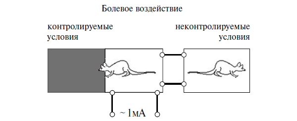 <b>Рис. 5.2. </b>Схема эксперимента для получения выученной беспомощности Два животных одновременно получают болевое раздражение электрическим током. Одно животное может избавляться от него, переходя в другую половину клетки (или нажимая на педаль, или запрыгивая на полку и т. п.). <br>Электрическая цепь собрана таким образом, что, избавляясь от ударов током, животное прерывает его подачу в соседнюю клетку. Таким образом, оба животных получают одинаковое по силе, длительности и регулярности физическое воздействие. Единственное различие состоит в психологическом факторе контролируемости. Первое животное контролирует ситуацию, а второе — нет. Другими словами, первое получает контролируемое воздействие, а второе — неконтролируемое. В результате у последнего развивается выученная беспомощность — депрессивно-подобное состояние, которое может сохраняться несколько месяцев, а в некоторых случаях и всю жизнь. Одинаковое по физическим характеристикам воздействие в зависимости от возможности его контролировать вызывает различную реакцию человека или животного</p>
