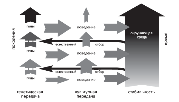 Рис. 5.7. Эффект Болдуина
