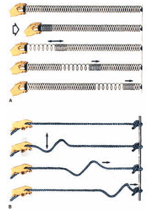 Рис. 1.1. Продольные (А) и поперечные (В) объемные волны (по Plummer, Mc Geary)