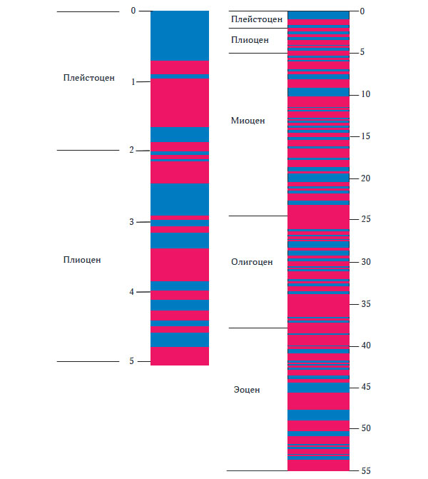 Рис. 1.11. Шкалы инверсий магнитного поля:\nслева — за последние 5 млн лет, справа — за последние 55 млн лет;\nсиний — нормальная намагниченность, красный – обратная\n(по У. У. Харленду и др., 1985)
