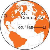 Изображение: «В мире науки»