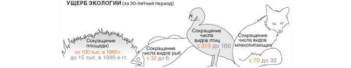 Изображение: «В мире науки»