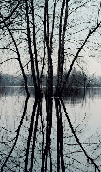 Фото Дмитрия Зыкова