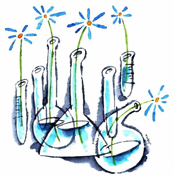 Художник В. Камаев