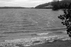 Рис. 1. Выстроенные вдоль ветра ветровые полосы пены, маркирующие присутствие циркуляции Ленгмюра в водоеме. Изображение: «Природа»