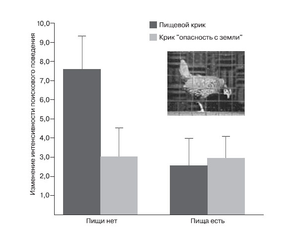Рис. 6. Сигналы-символы в действии: информирование о ситуации у домашних кур (из работы К. Эванса с соавт., 2007). Черные столбики — изменения интенсивности поискового поведения после проигрывания пищевого крика, белые — после крика «опасность с земли». На фото — поза поиска, которую принимает курица в ответ на пищевой крик именно при отсутствии подкрепления (то есть когда ничто не побуждает искать корм, кроме этого крика). Изображение: «Химия и жизнь»
