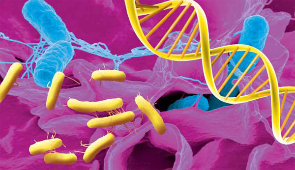 Изображение: «Экология и жизнь»