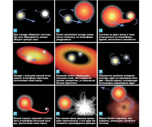 Сверхновые типа Ia — это звезды, потерявшие способность сжигать ядерное топливо, — белые карлики с массой около солнечной. Для того чтобы стать сверхновой, им необходим партнер, который мог бы довести массу карлика до критического значения. Изображение: «Популярная механика»