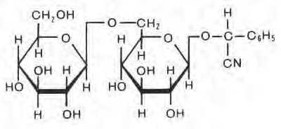 Изображение: «Химия и жизнь»