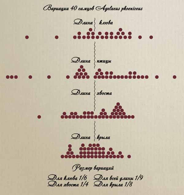 Таблица из главы «Изменяемость видов в естественном состоянии». По: (Уоллес, 1898)