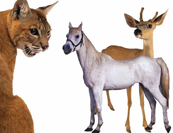 Изображение «Экология и жизнь»