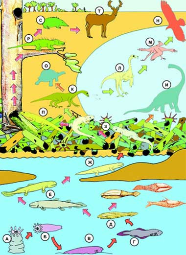 Важные эволюционные события, приводящие к смене среды обитания, требовали качественных изменений в нервной системе (Рисунок автора)