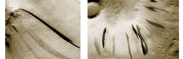 Рис. 20. Наряду со следами свежих и старых потоков два коротких тёмных потока снова возникли у начала светлых (более старых) образований. (MGS MOC m1103547. NASA/JPL/MSSS.) Рис. 21. Возвышенность, из-под поверхности которой радиально отходят следы потоков разного возраста. (MGS MOC m0204672. NASA/JPL/MSSS.) Изображение: «Наука и жизнь»