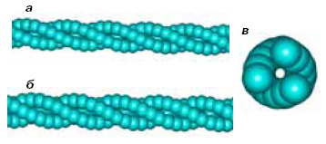 Ортогональные проекции шнурка из трех карбиновых нитей (изображение: «Химия и жизнь»)