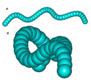 Ортогональные проекции фрагмента обруча: вид сбоку (а) и с торца (б) (изображение: «Химия и жизнь»)