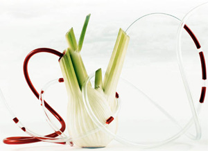 Изображение с сайта www.popmech.ru