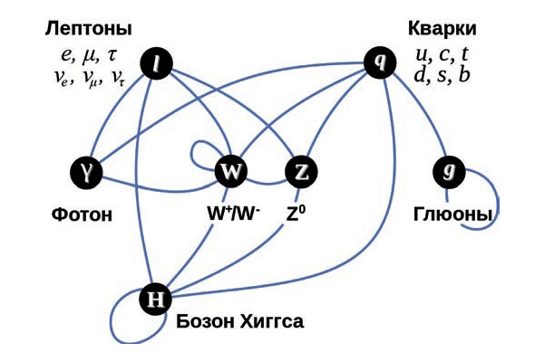 Взаимодействие между различными частицами в стандартной модели («Википедия»)