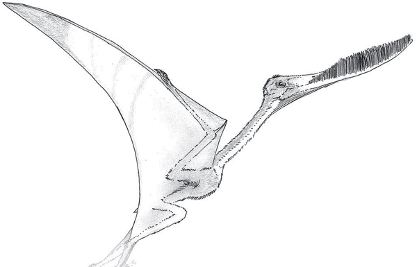 Изображение: «Экология и жизнь»