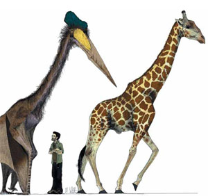 Изображение: «Экология и жизнь»