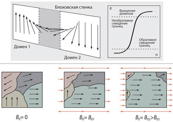 Маленькие магнитики. В ферромагнетике собственные магнитные моменты атомов выстраиваются параллельно (энергия такой ориентации минимальна). В результате образуются намагниченные области, домены — микроскопические (10–4–10–6 м) постоянные магнитики, разделенные доменными стенками. В отсутствие внешнего магнитного поля магнитные моменты доменов ориентированы в ферромагнетике хаотически, во внешнем поле границы начинают смещаться, так что домены с моментами параллельно полю вытесняют все остальные — ферромагнетик намагничивается. Изображение: «Популярная механика»