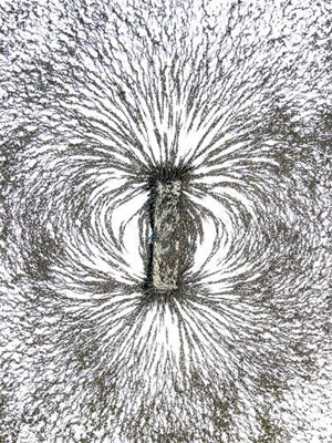 Силовые линии можно наблюдать с помощью рассыпанных между магнитами железных опилок. Изображение: «Популярная механика»