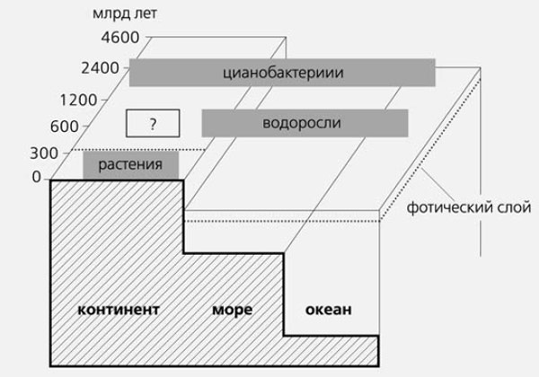 Рис. 3. Схема соотношения эпох и экосистем с доминирующими продуцентами. Влажные участки суши сначала заселяли цианобактериальные, затем альгобактериальные и альгогрибные сообщества. Потом последовал короткий период бессосудистых растений. С появлением сосудистых растений возникла эвапотранспирация, и изменился наземный гидрологический цикл, сформировалась почва как корнеобитаемая система, которая сменила древнюю кору выветривания. Изображение: «Природа»