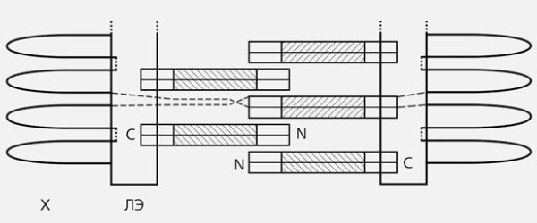 Рис. 4. Схема строения центрального пространства синаптонемного комплекса. X — петли хроматина, ЛЭ — латеральный элемент, N и С — концы молекул белка SCP1. Центральная, α-спиральная часть молекул белка показана штриховкой. Димеры из параллельно уложенных молекул SCP1 образуют зубцы «застежки-молнии». Изображение: «Природа»